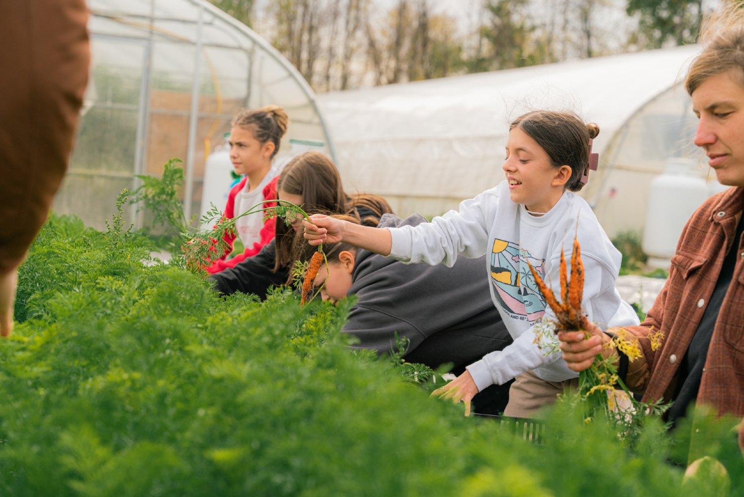 Education alimentaire