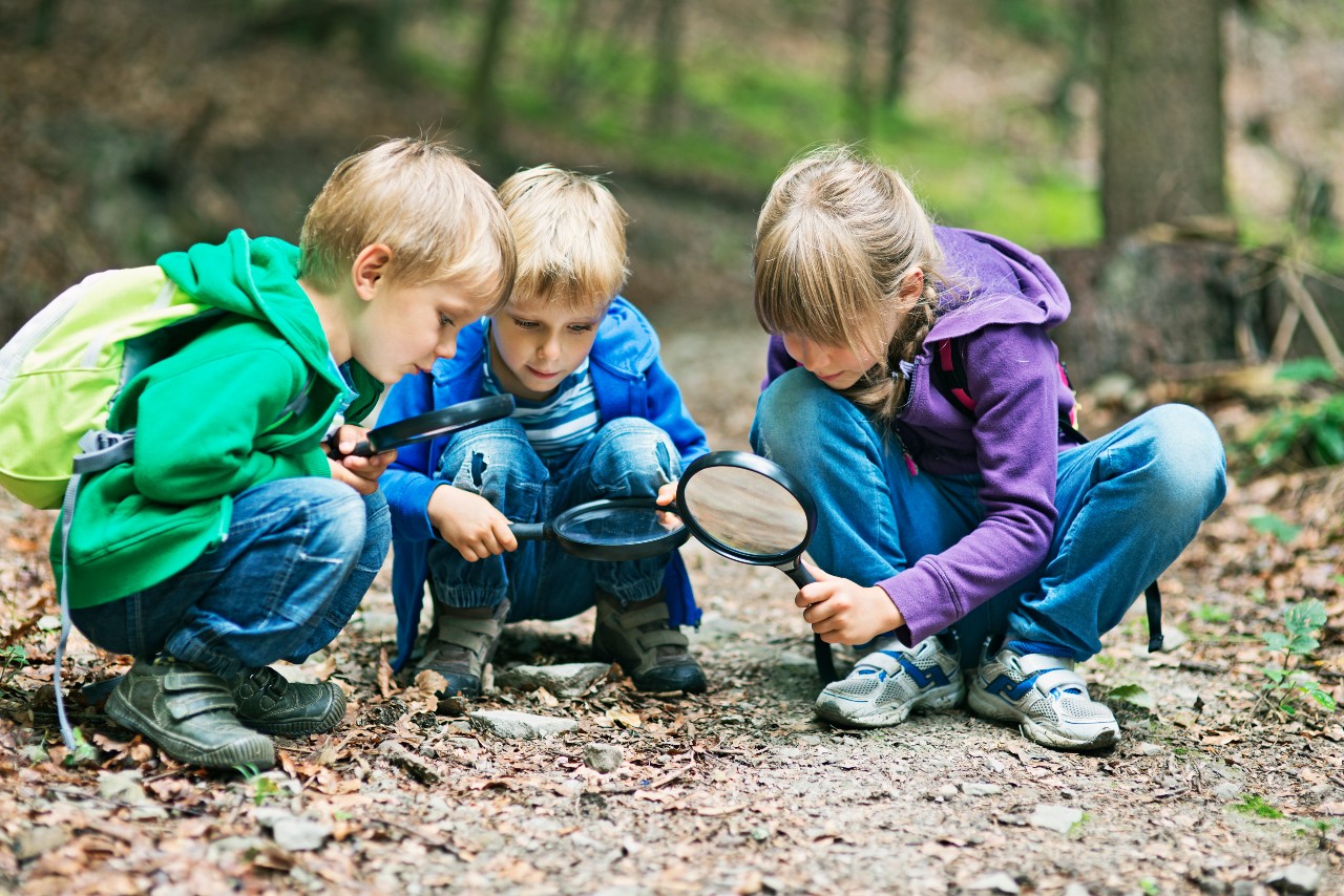 Enfants forets loupe enseignement exterieur