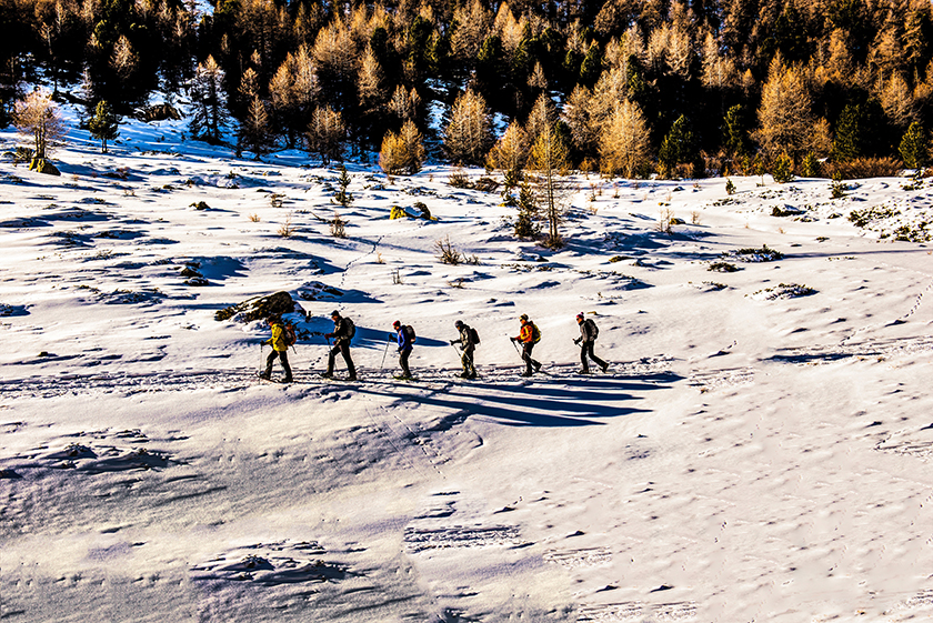 Expedition territoire