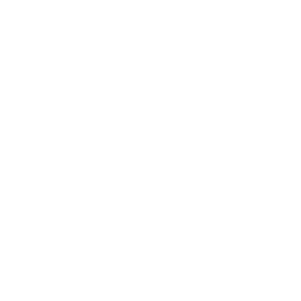 WSKI S8GM8 favicon blanc