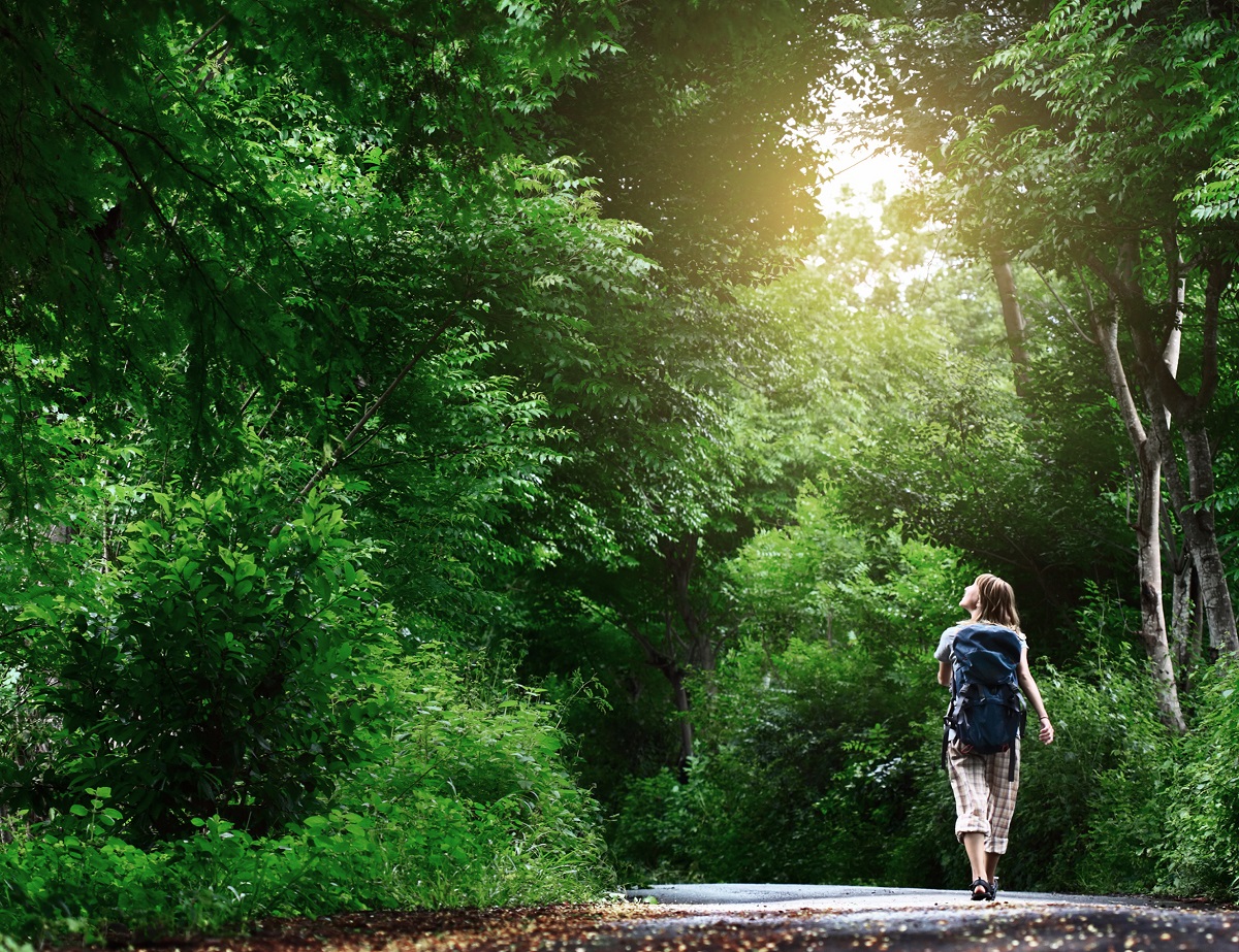 Femme foret marche plein air
