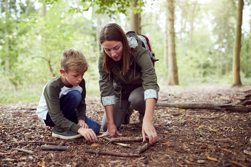 Foret enseignante eleve